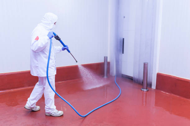 Best Paint Preparation  in New Castle, IN